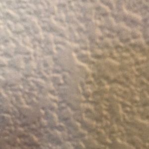 Meet your Posher, Lance